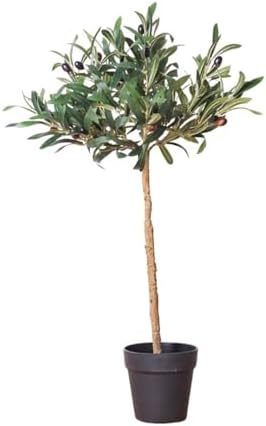 Real artificial olive tree for home office