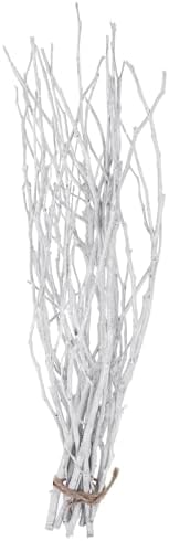 Zerodeko Vase-Ready Dried Twigs