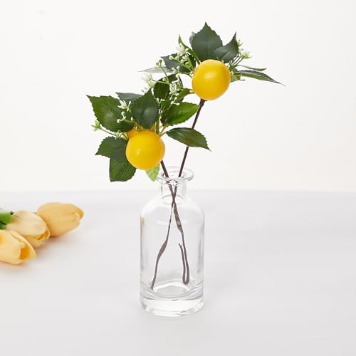Realistic Lemon Decor for Home