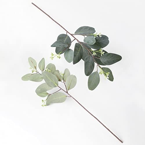 Oval Eucalyptus Leaves for Autumn Home Decor