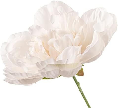 Elegant Cream Peony Bush by Ashland