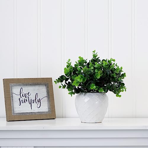 11-Inch Boxwood Plant with Decorative Planter