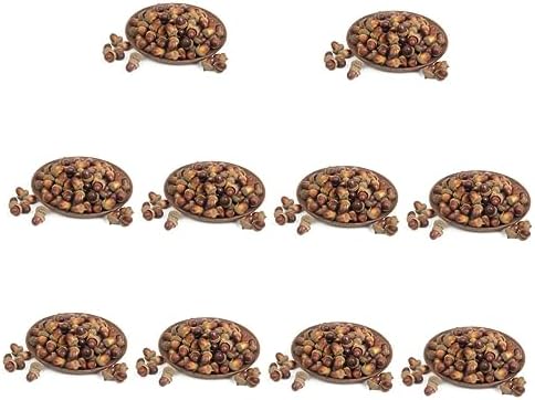 120 Realistic Acorns Pinecones