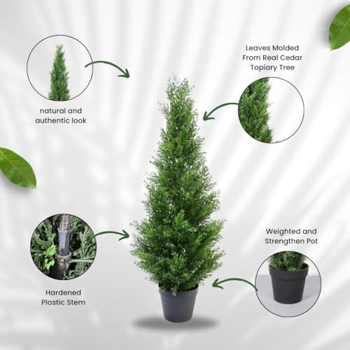 Beautiful Realistic 3-Foot Cedar Tree