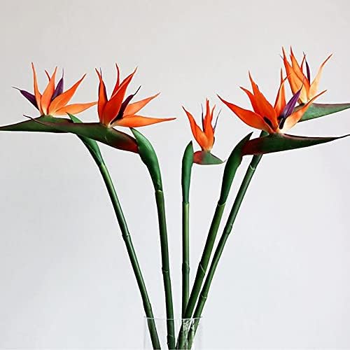 Bird of Paradise-Hang Garland Home Garden Decor