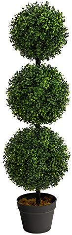 NearNat Boxwood Trio Topiary