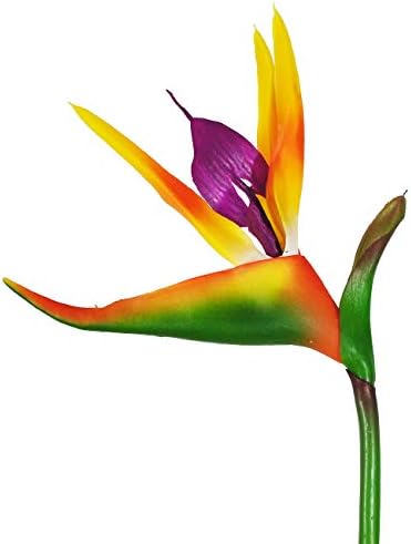 Bird of Paradise-Hang Garland Home Garden Decor