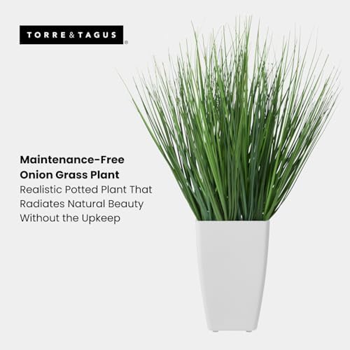 Stunning Fake Grass Plant