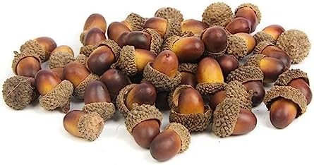 120 Realistic Acorns Pinecones
