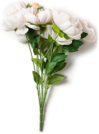 Elegant Cream Peony Bush by Ashland