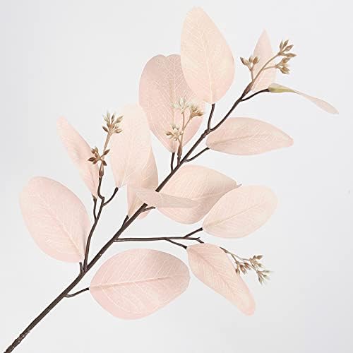 Oval Eucalyptus Leaves for Autumn Home Decor