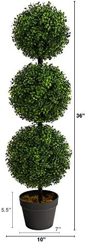 NearNat Boxwood Trio Topiary