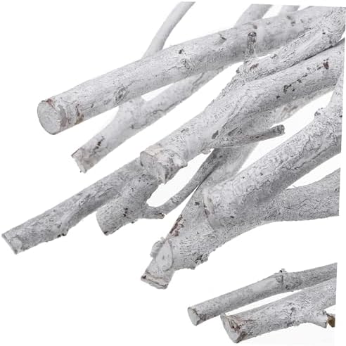 STOBAZA 10-Piece Natural White Branches for Vase Twigs and Craft Project