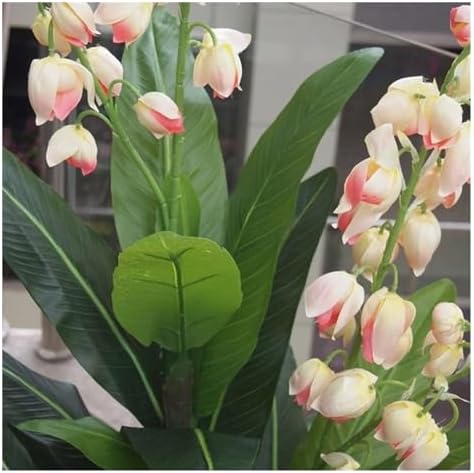 ArtiReal Tree Plant