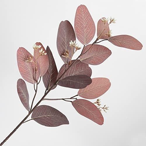 Handpicked Oval Green Eucalyptus Stems for Home Decor