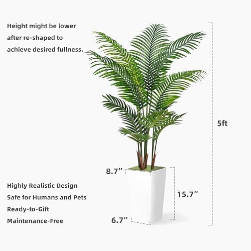 Indoor Palm Tree for Home Decor