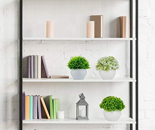 Add a Touch of Greenery to Your Space