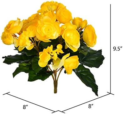 Realistic Yellow Begonia Bush