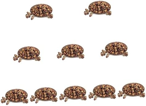 120 Realistic Acorns Pinecones