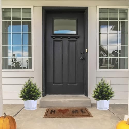 2FT Artificial Cedar Tree Artificial Christmas Tree for Outdoor Use