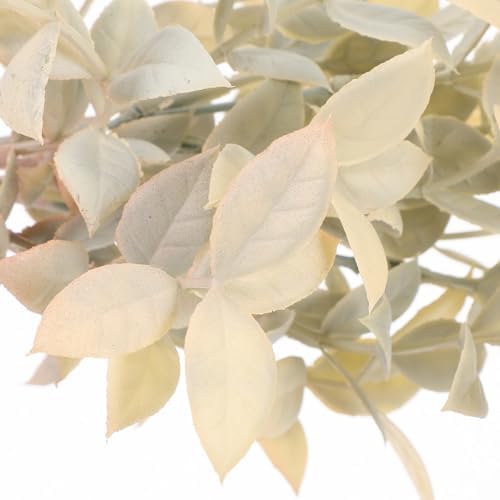 Perfect Eucalyptus Greenery Stems