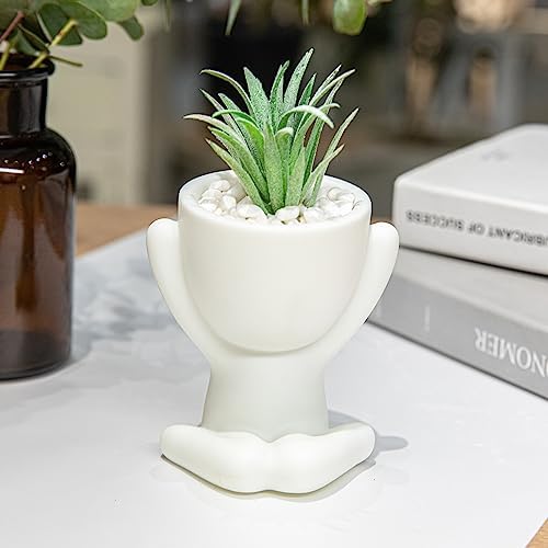 3-Pack Cute Fake Plants for Office