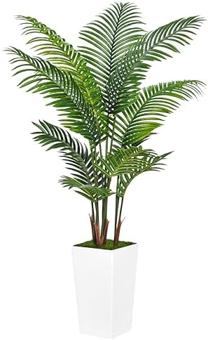 Indoor Palm Tree for Home Decor