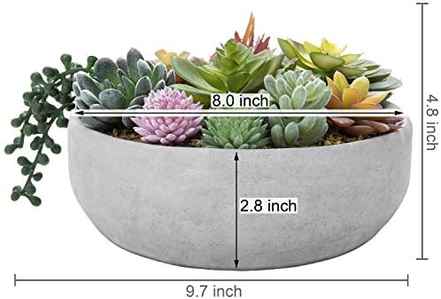 Modern 8-Inch Succulent Arrangement