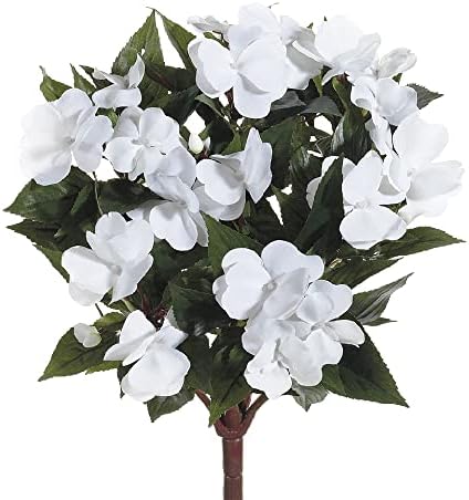 137 inch New Guinea Impatiens White Bush