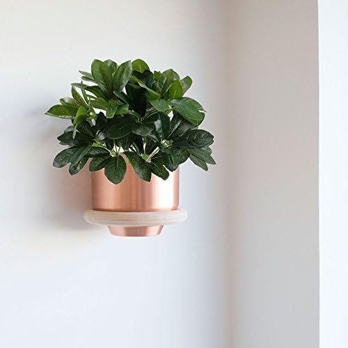 Realistic-Smelling Indoor Outdoor Schefflera Fakes