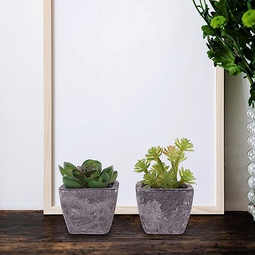 2PCS Fake Succulents Miniature Potted Succulents