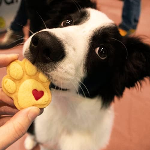 Cute Paw Cookie Cutter