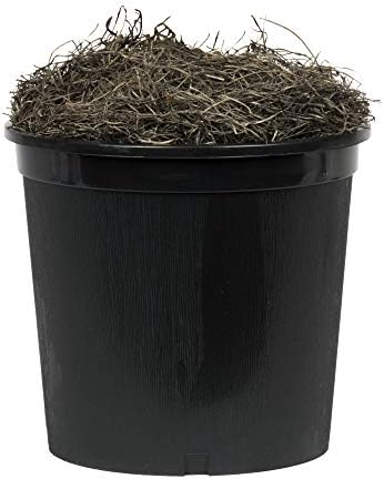 Vickerman 4 Artificial Smilax Bush in Black