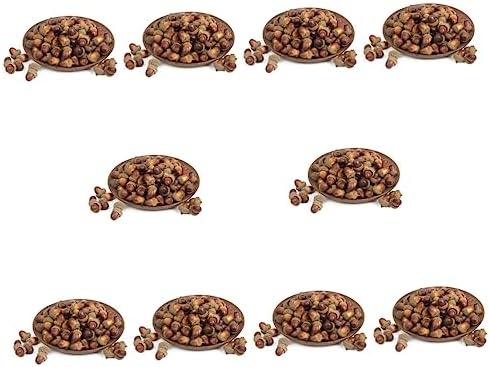 120 Realistic Acorns Pinecones