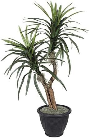Vickerman 4 Marginata Bush in Gray