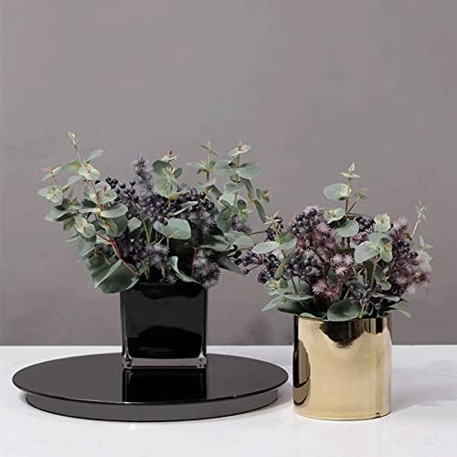 Low Maintenance Fake Plant