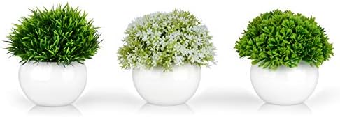 Add a Touch of Greenery to Your Space