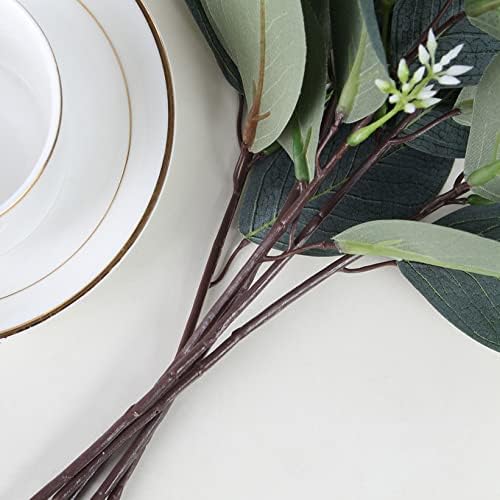 Oval Eucalyptus Leaves for Autumn Home Decor