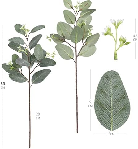 Handpicked Oval Green Eucalyptus Stems for Home Decor