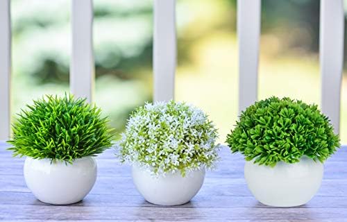 Add a Touch of Greenery to Your Space