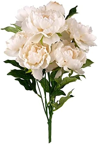 Elegant Cream Peony Bush by Ashland