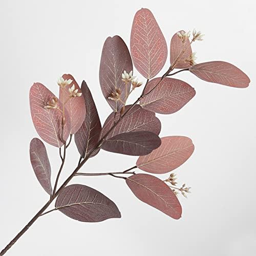 Oval Eucalyptus Leaves for Autumn Home Decor