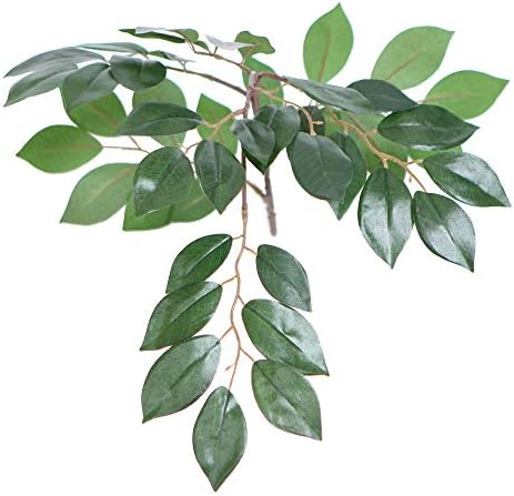 Vickerman TBU0740 4 Green Dark Sakaki Bush