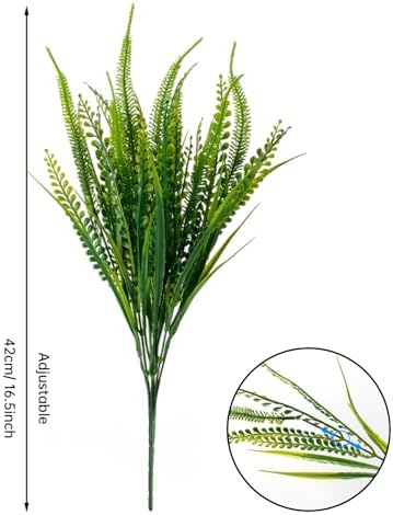 12 Boston Fern Bundles Outdoor
