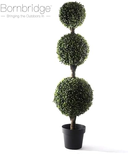 Extra-Large Boxwood Ball Tree