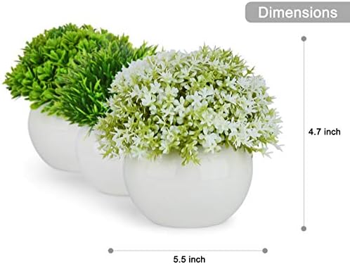 Add a Touch of Greenery to Your Space