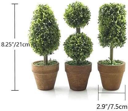 Adorable Small Topiaries Set for Home Dcor