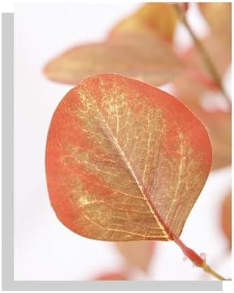 Rutavm Eucalyptus Artificial Tree for Home Office