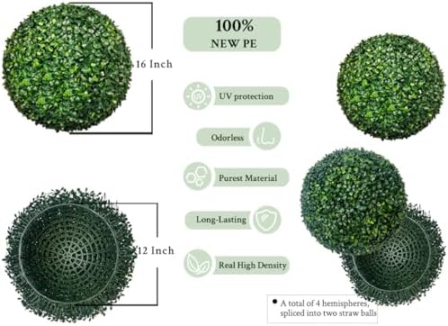 Distinct Boxwood Topiaries for Backup