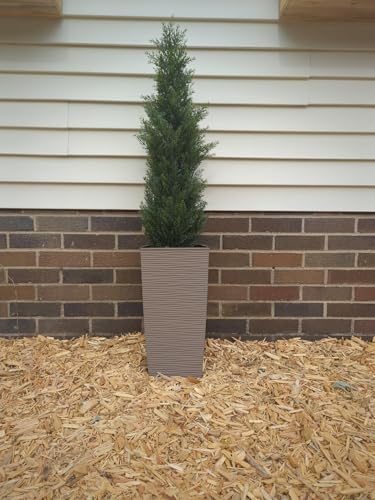 Match the DCF - 4 Outdoor Artificial Cedar Topiary Pack of 2